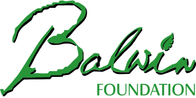 Balwin Foundation Balwin Foundation