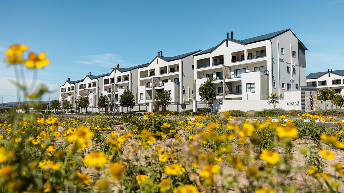 fynbos fynbos